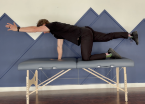 bird dog exercise